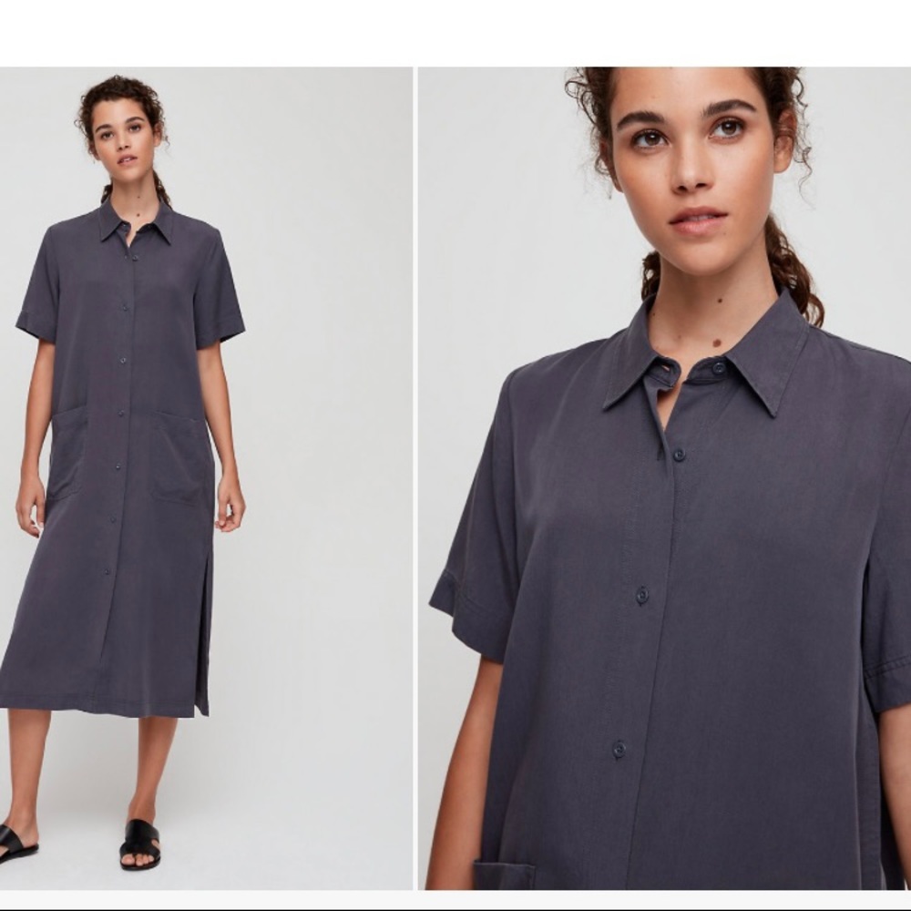 Aritzia Babaton Dress